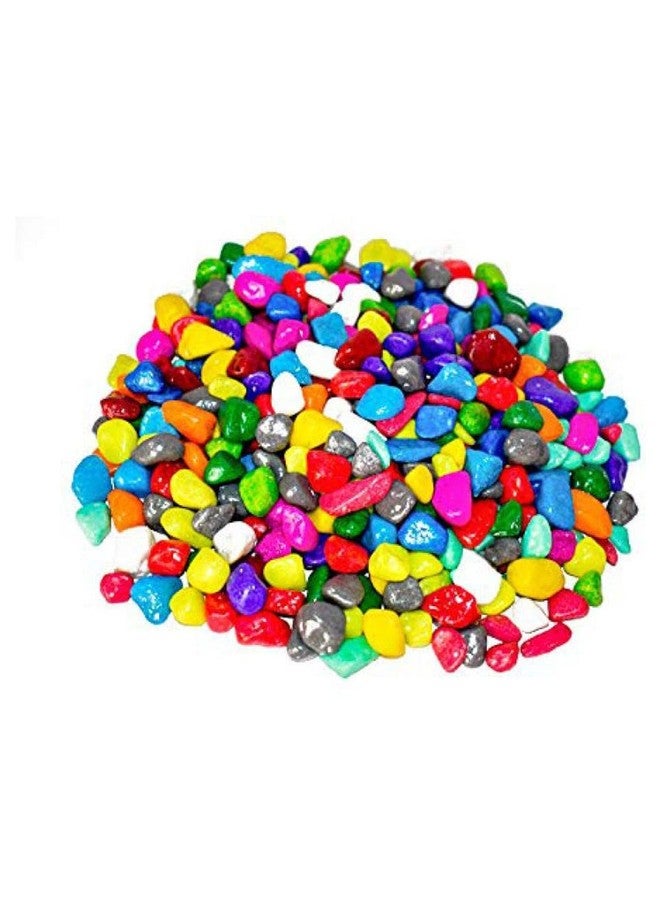 Afast Multicolor Pabbles/Stone for Garden, Plants, Aquarium & Home Decor Wt. 450g - Image 1